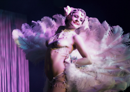 A flamboyant feathered costume for a Burlesque performer